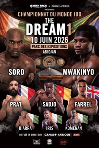 The Dream 1