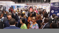 Dental Expo